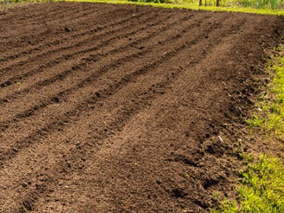 Garden Tilling, Auburn, AL