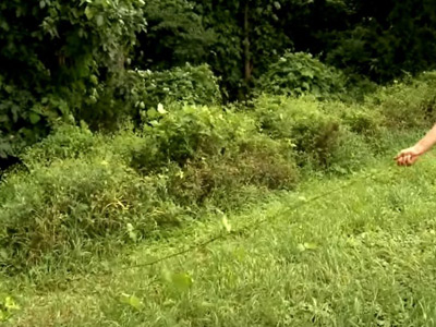 Kudzu Cleanup, Auburn, AL