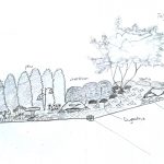 landscaping drawing
