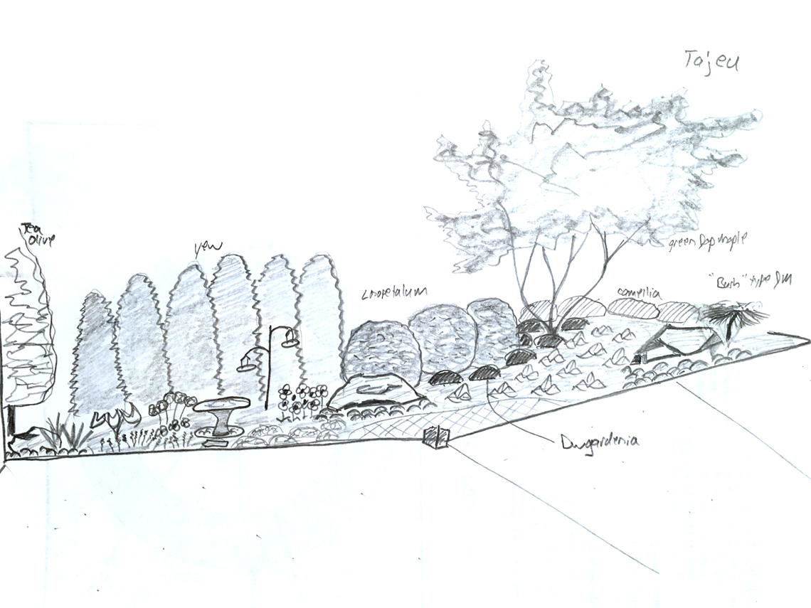 landscaping drawing