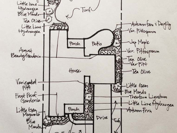 hand drawn landscaping plan