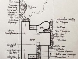 hand drawn landscaping plan