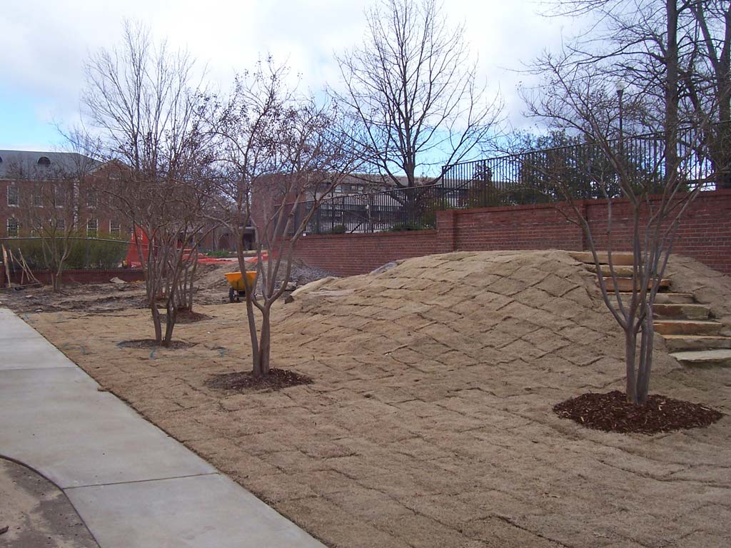 auburn sod